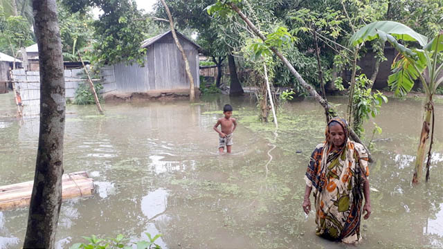 বাঘায় জলবদ্ধতায় ২ হাজার বাড়িঘর। ছবিটি মনিগ্রাম ইউনিয়নের ভানুগ্রাম এলাকা থেকে তোলা। 