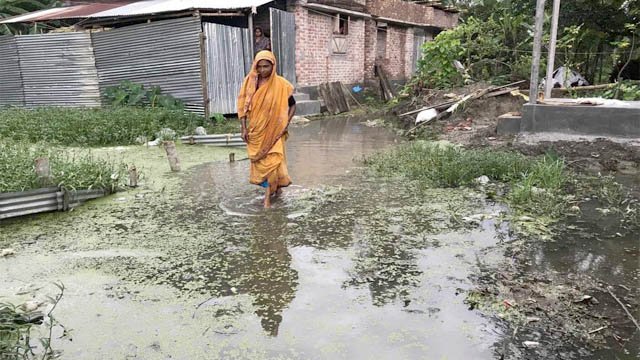 বাঘায় জলবদ্ধতায় ২ হাজার বাড়িঘর। ছবিটি মনিগ্রাম ইউনিয়নের ভানুগ্রাম এলাকা থেকে তোলা। 