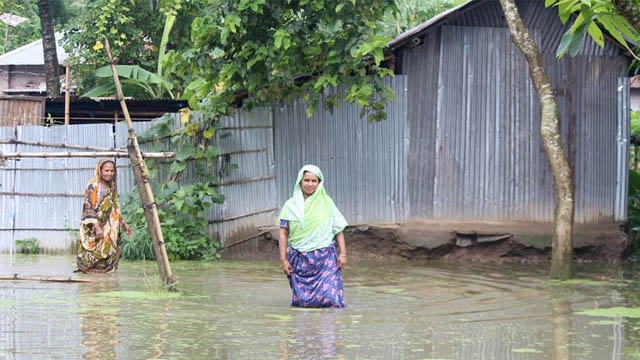 বাঘায় জলবদ্ধতায় ২ হাজার বাড়িঘর। ছবিটি মনিগ্রাম ইউনিয়নের ভানুগ্রাম এলাকা থেকে তোলা। 