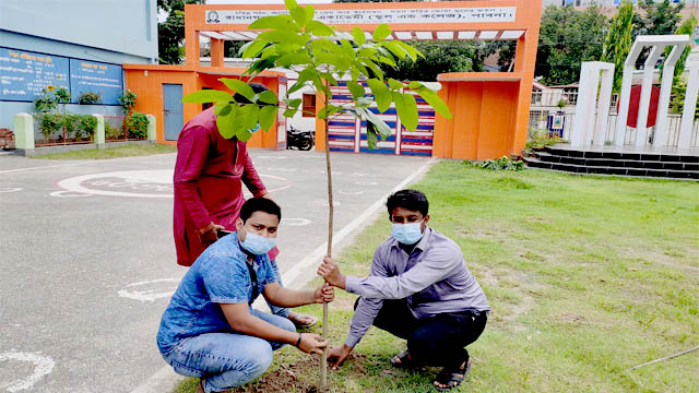 ছাত্রনেতা ফিরোজ আলী ও মেহেদি হাসান বৃক্ষরোপণ করেন