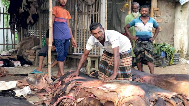 চামড়া প্রক্রিয়াজাতকরণে ব্যস্ত সংশ্লিষ্টরা