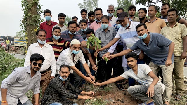 উপজেলা যুবলীগ ও পৌর যুবলীগের যৌথ উদ্যোগে বৃক্ষরোপণ